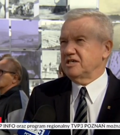 Sakson wrastanie tvp