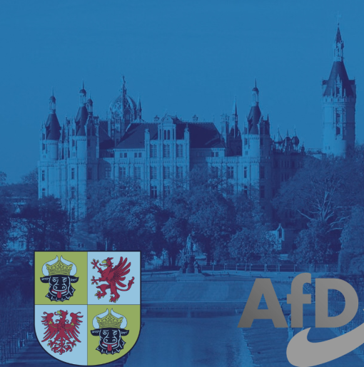 Meklemburgia_AfD