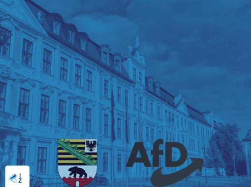Polityk_AfD_przewodniczącym