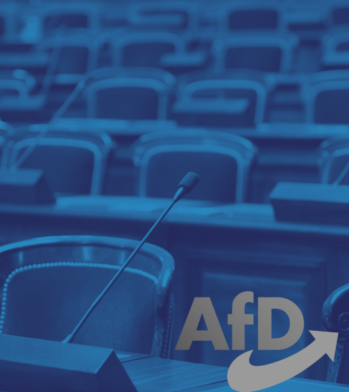 Zjazd_AfD