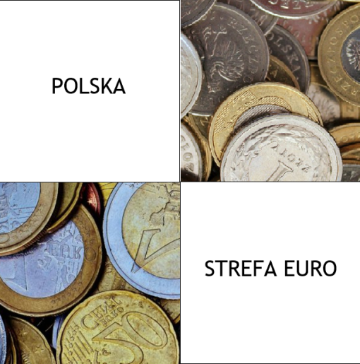 PLlogo cyklu konferencji o euro
