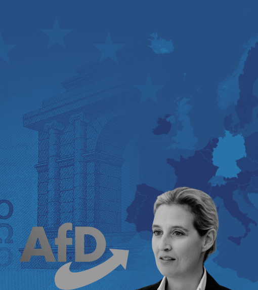 Wyjście_z_euro_AfD