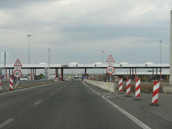 239 (1)