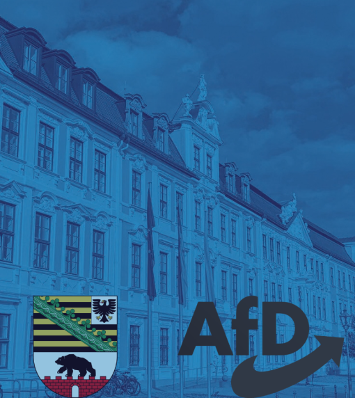 Polityk_AfD_przewodniczącym