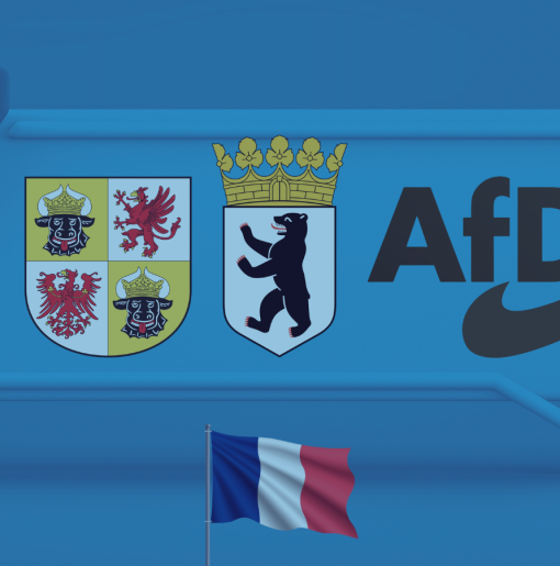 FR_reakcje_AfD