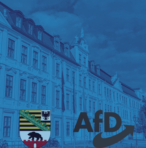 Polityk_AfD_przewodniczącym