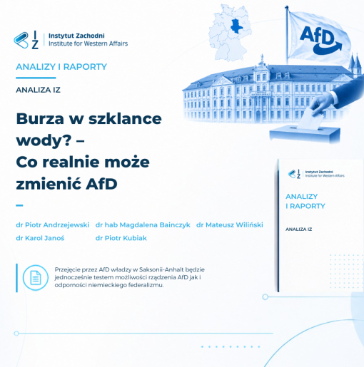 Grafika Ekspertyza strona (1000 x 1000 px) (1)